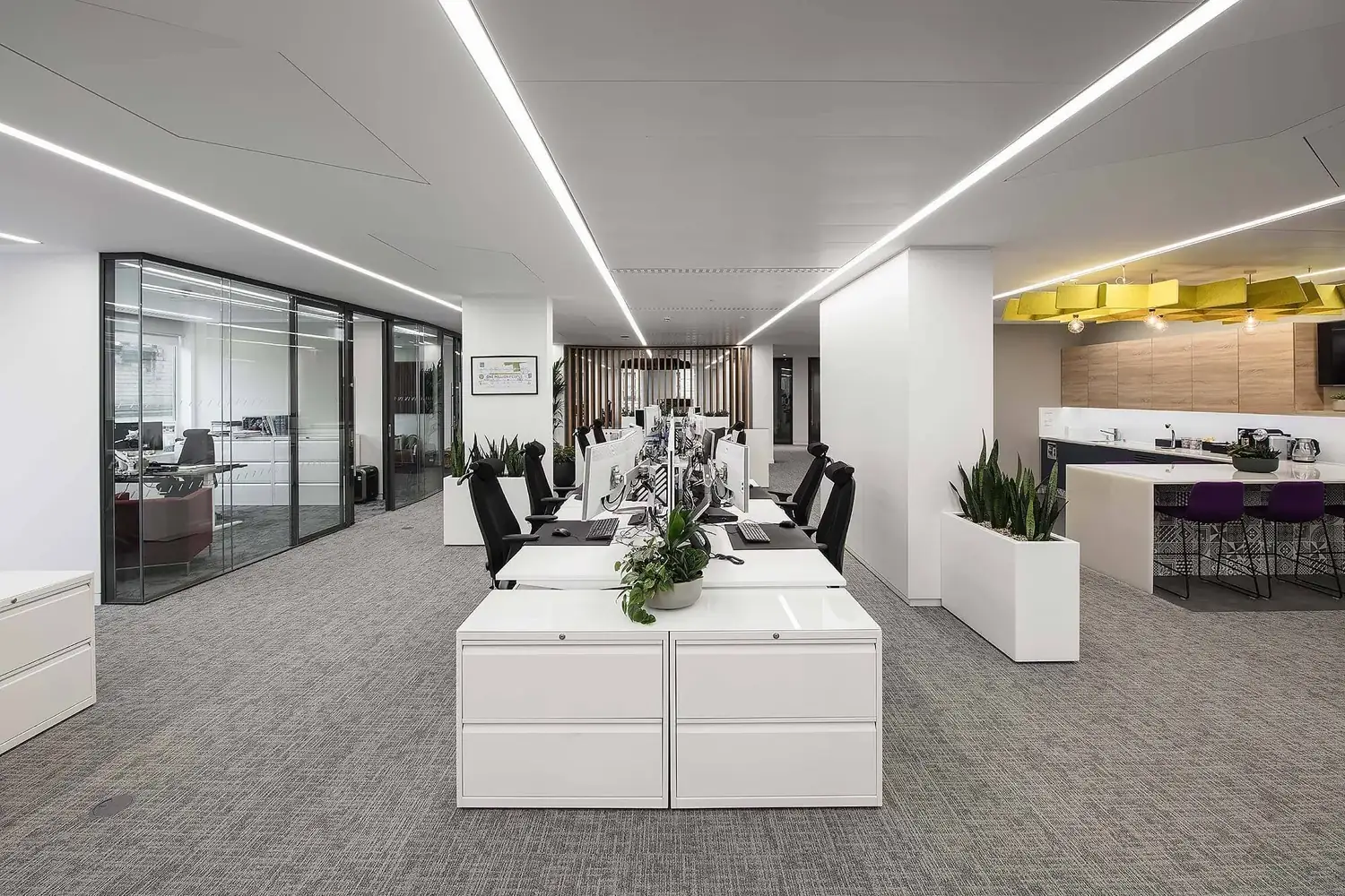 Innovectus — interior view